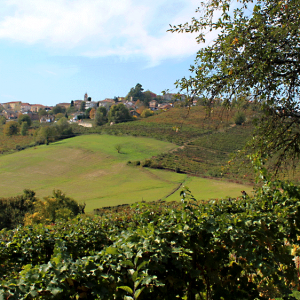 agliano_terme_italia